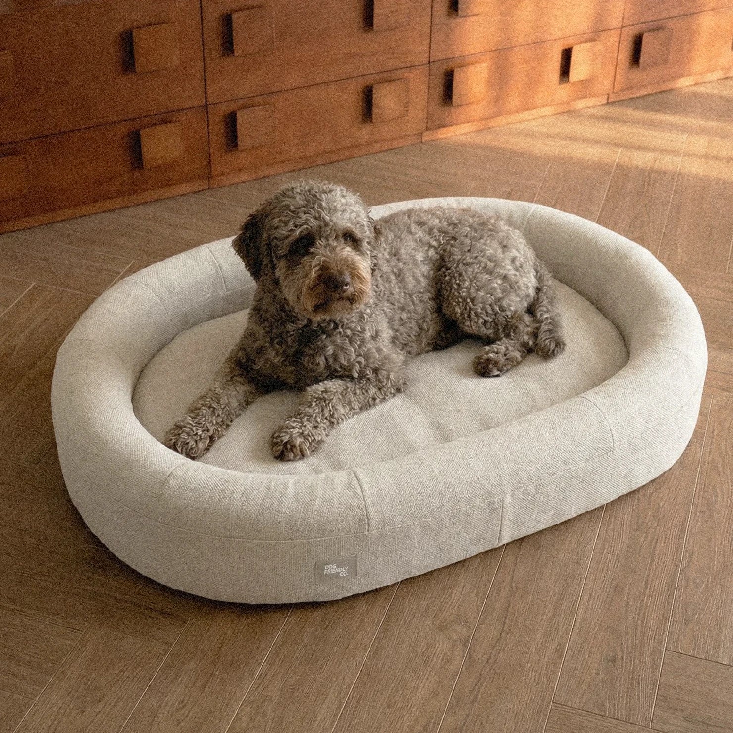 Chill Pill Memory Foam Dog Bed - Beige (Small) - Image 5
