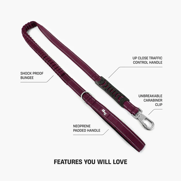 Collar Walk Set - Burgundy - Image 6
