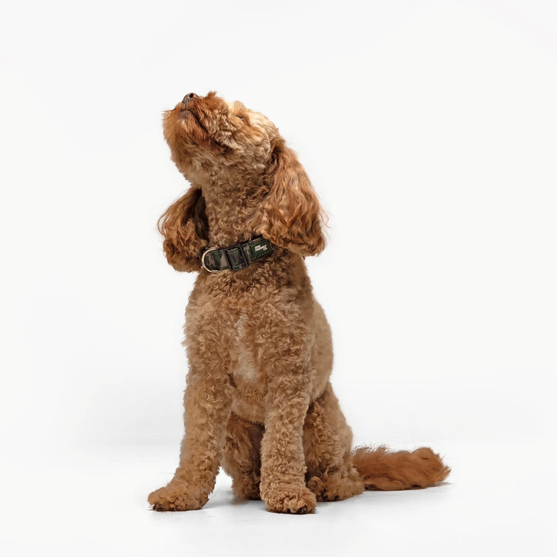 Collar Walk Set - Green Camo - Image 4