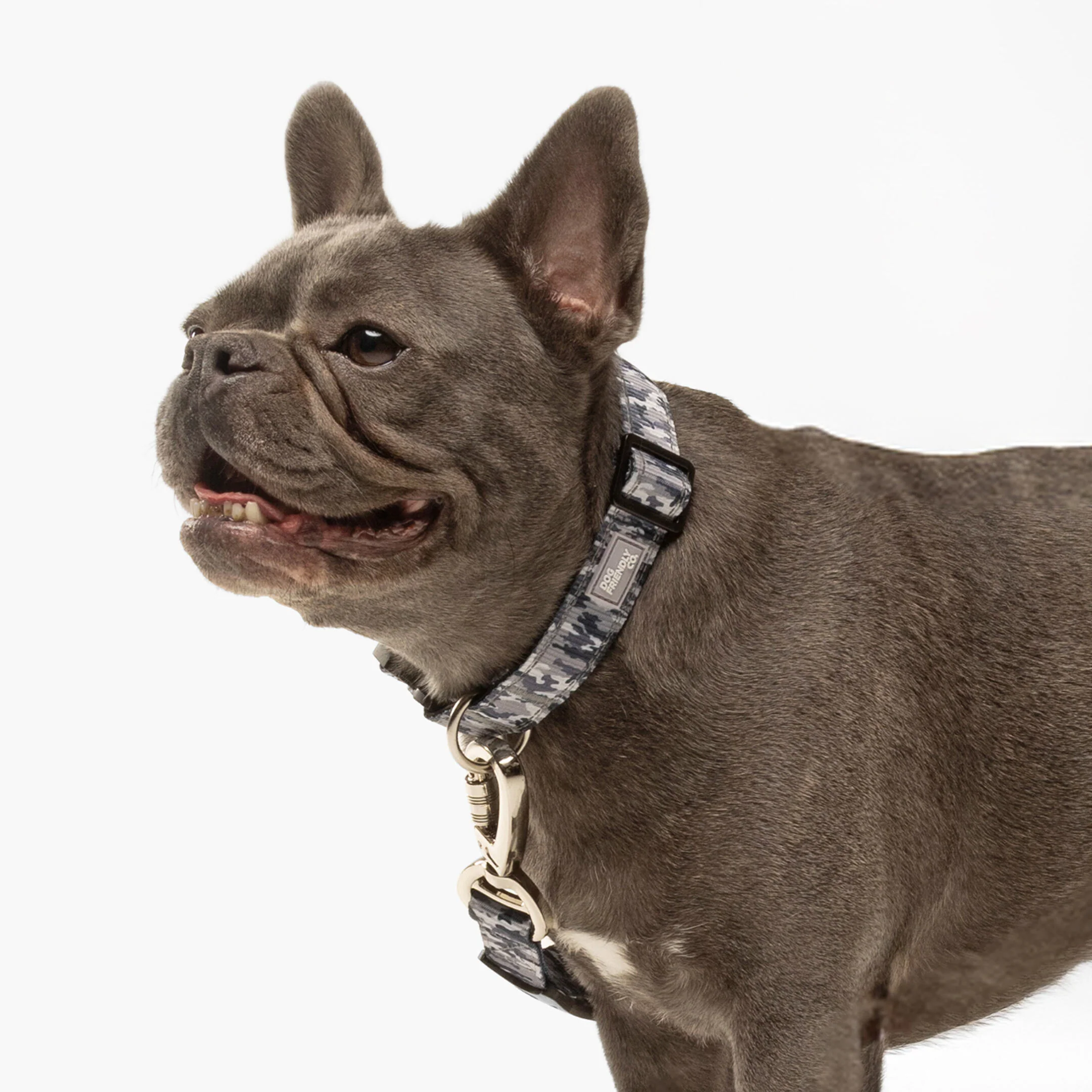 Collar Walk Set - Grey Camo - Image 10