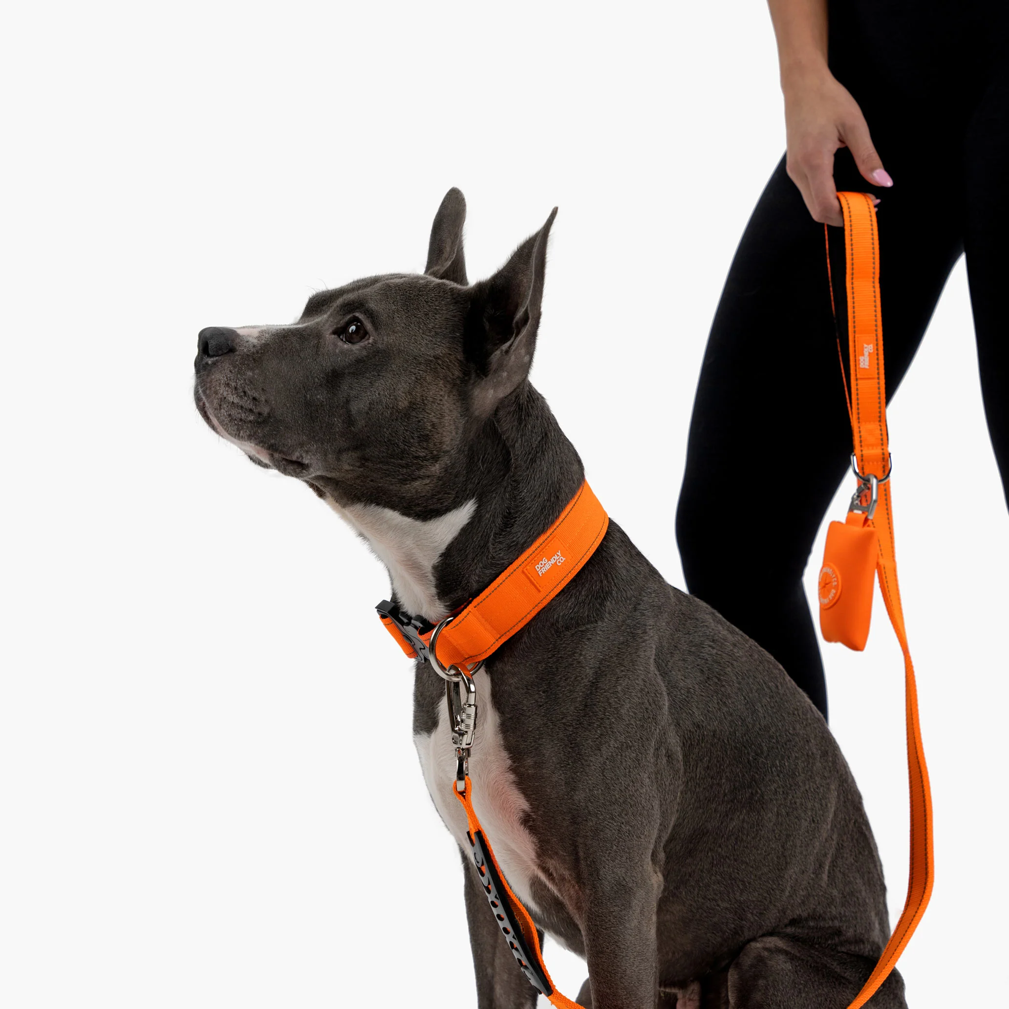 Collar Walk Set - Hi-Vis Orange - Image 14