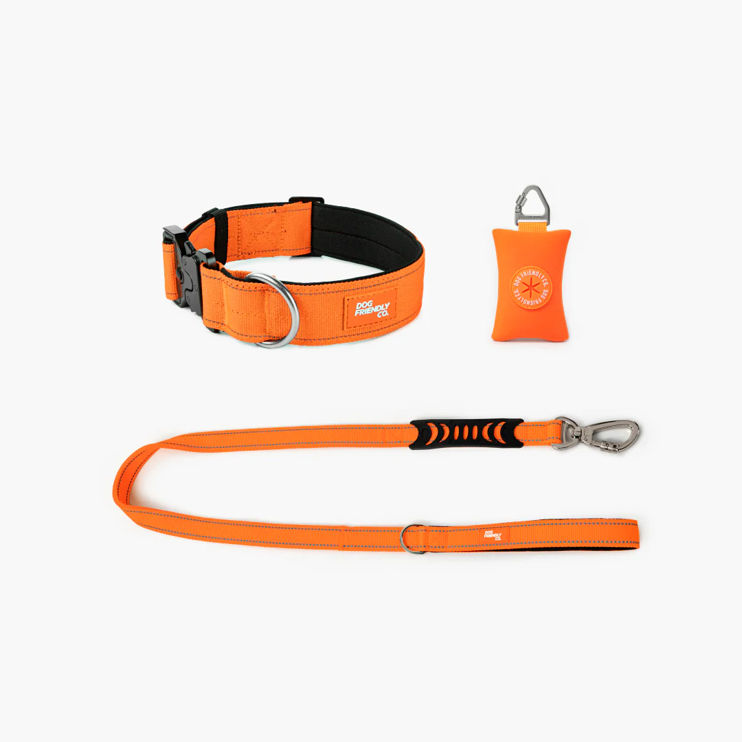 Collar Walk Set - Hi-Vis Orange - Image 7