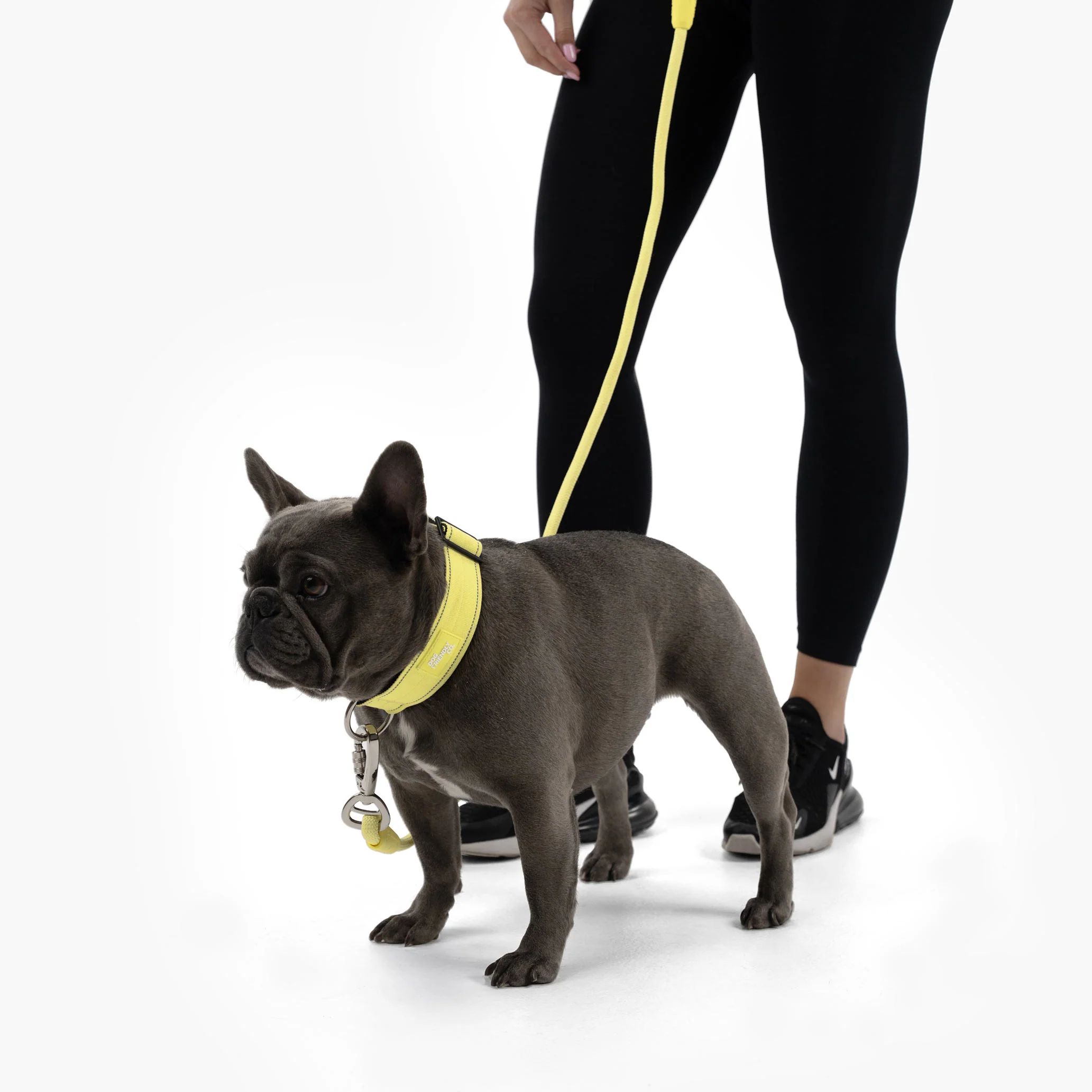 Collar Walk Set - Yellow - Image 14