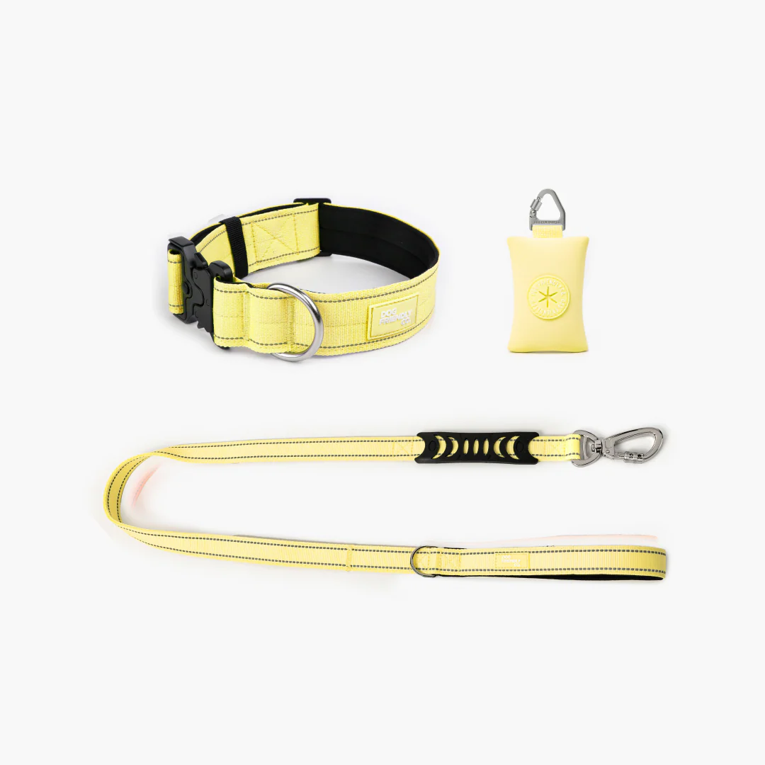 Collar Walk Set - Yellow - Image 7
