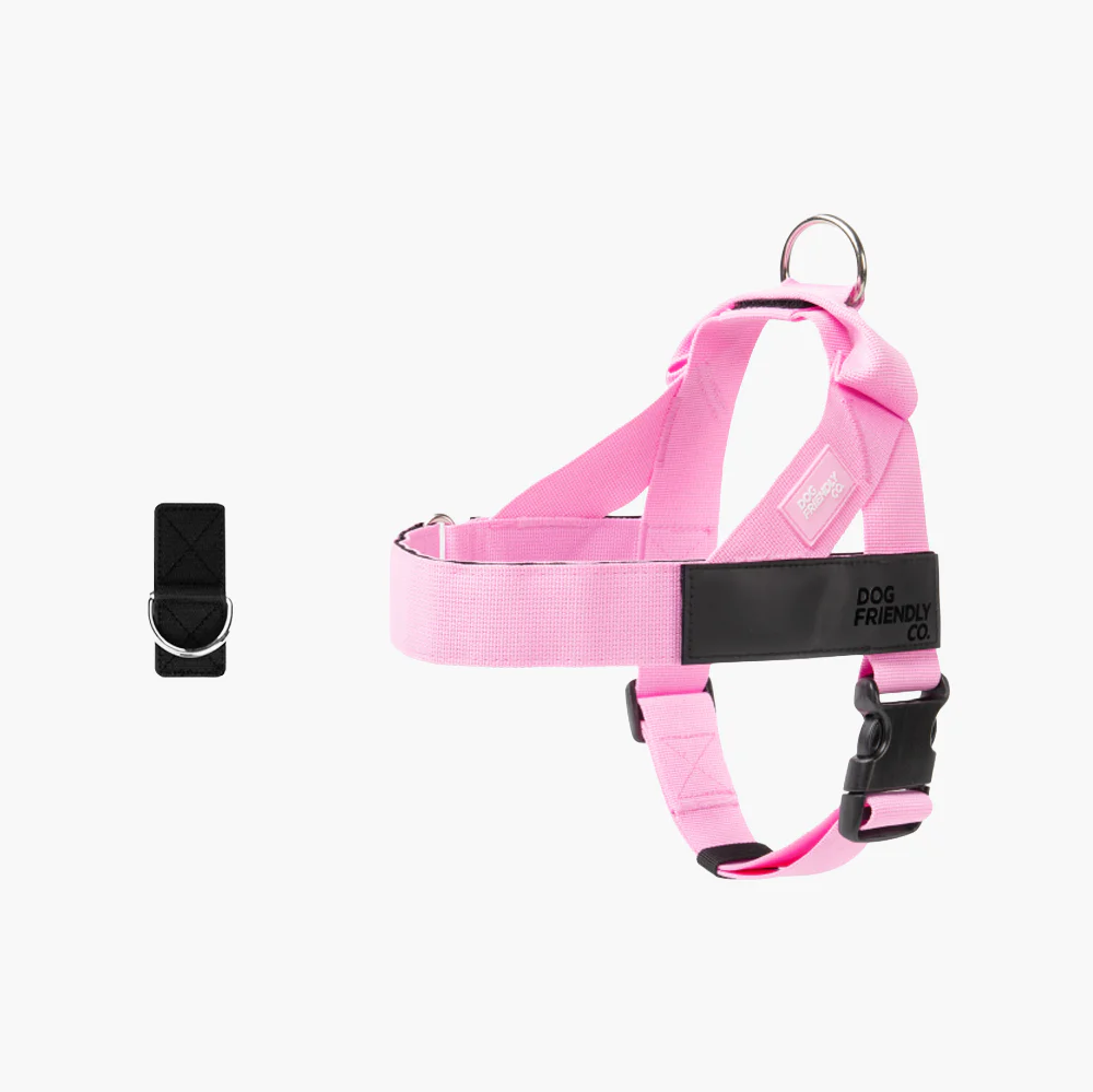 Dog Harness + FREE D-ring - Image 11