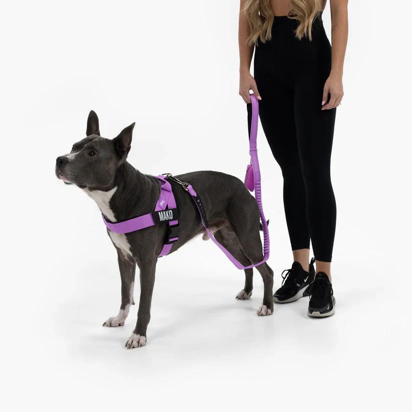 Dog Harness + FREE D-ring - Image 18