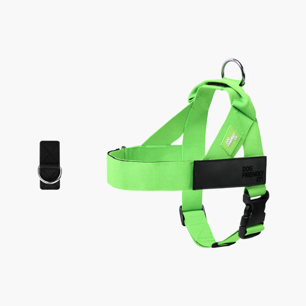 Dog Harness + FREE D-ring - Image 20