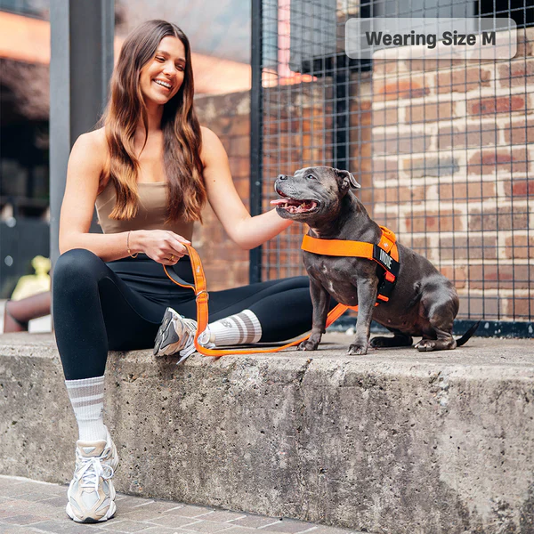 Dog Harness + FREE D-ring - Image 39