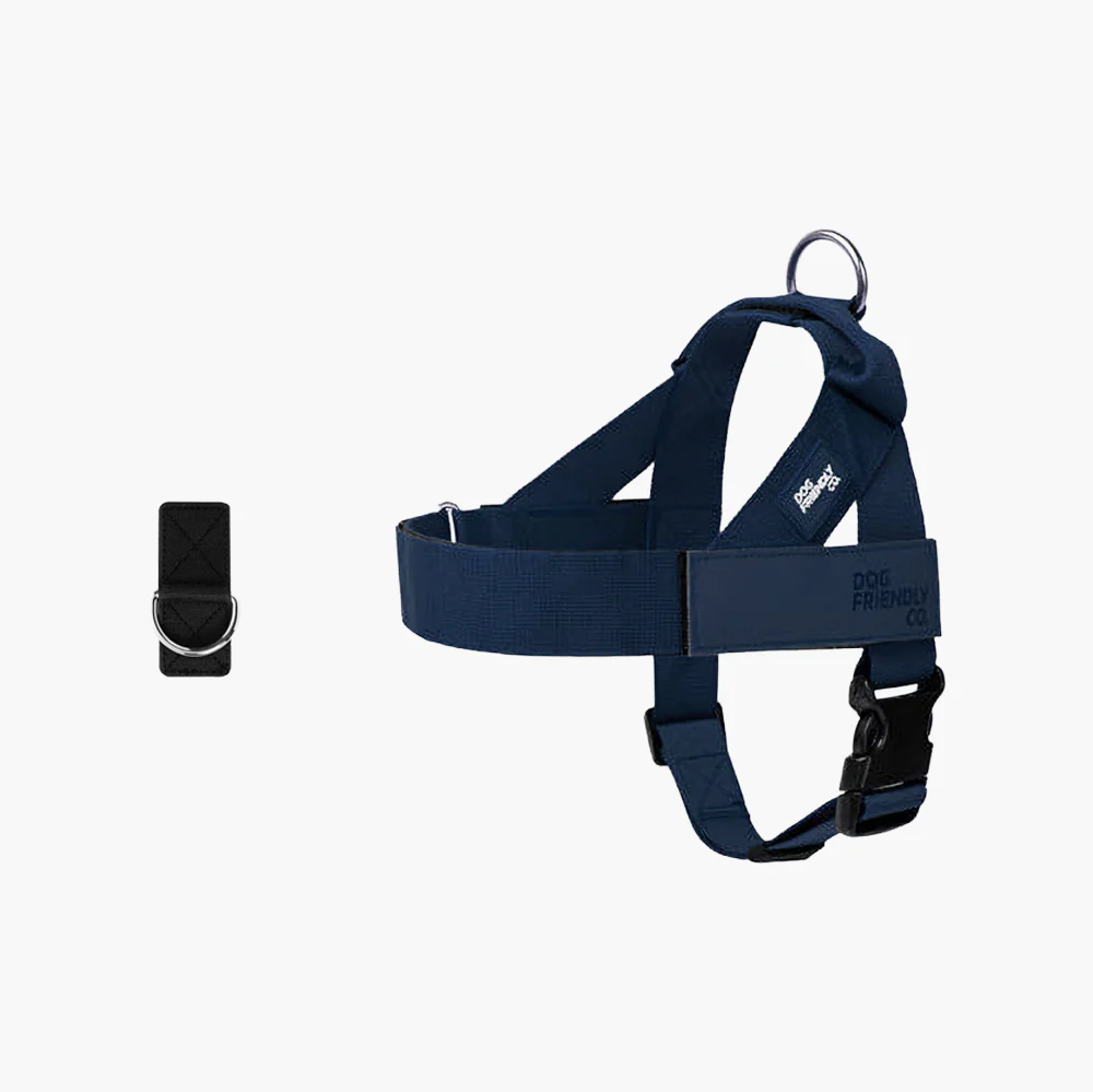 Dog Harness + FREE D-ring - Image 77