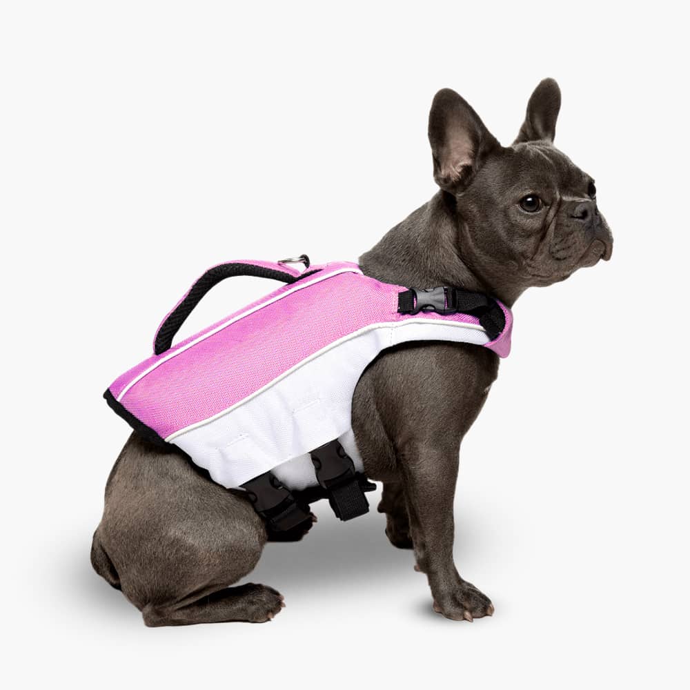Dog Life Jacket - Image 10