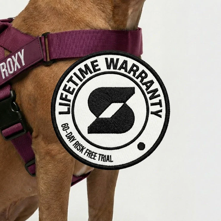 Personalised Dog Harness - Burgundy - Image 8