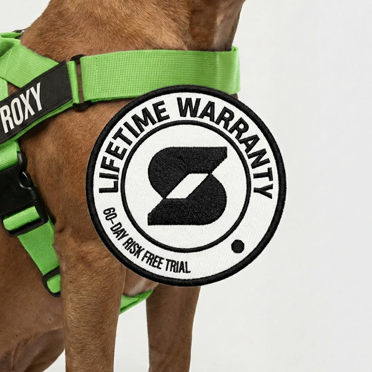 Personalised Dog Harness - Neon Green - Image 8