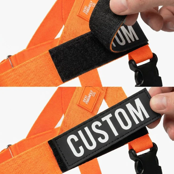 Personalised Dog Harness - Orange - Image 7