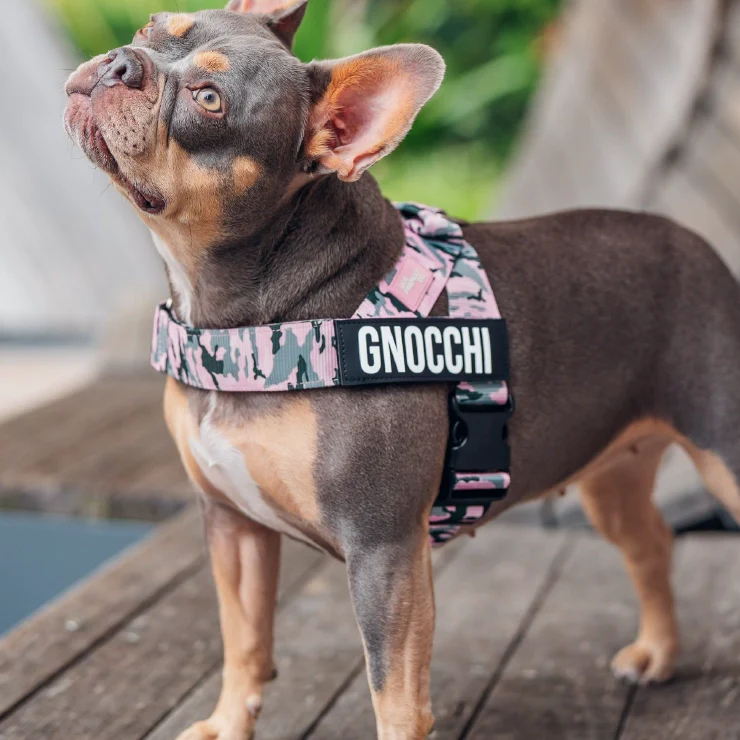 Personalised Dog Harness - Pink Camo - Image 6