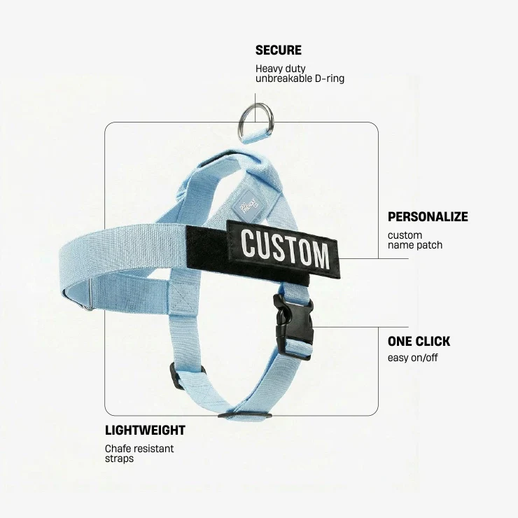 Personalised Dog Harness - Sky Blue - Image 2