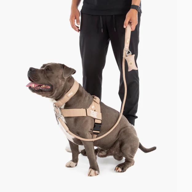 Dog Lovers Pack - Brown - Image 17