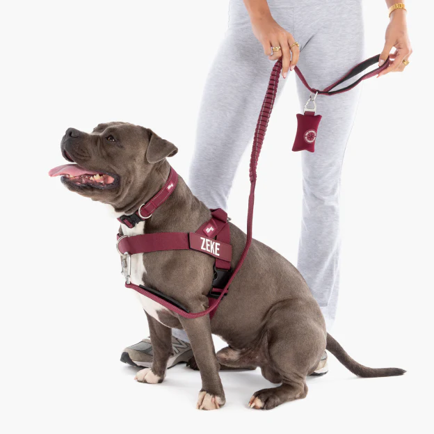 Dog Lovers Pack - Burgundy - Image 11