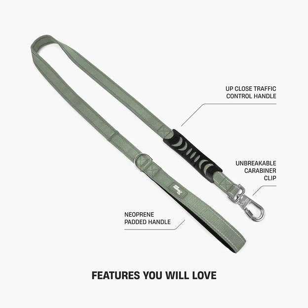 Dog Lovers Pack - Khaki - Image 14