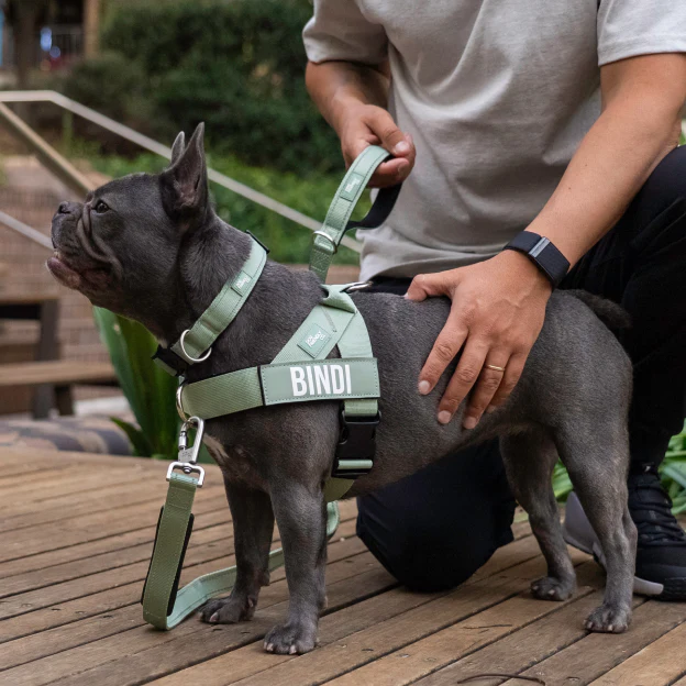 Dog Lovers Pack - Khaki - Image 9