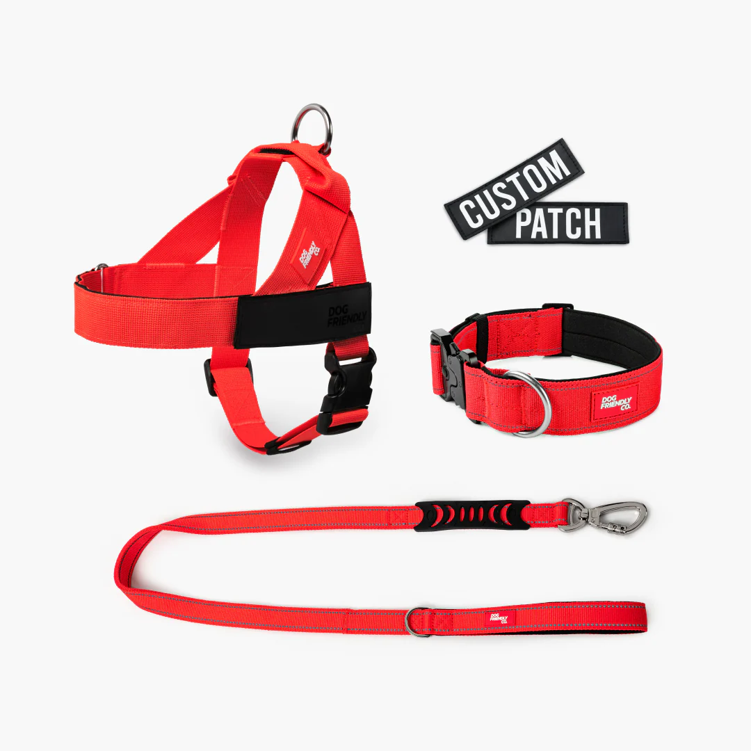 Dog Lovers Pack - Red - Image 8