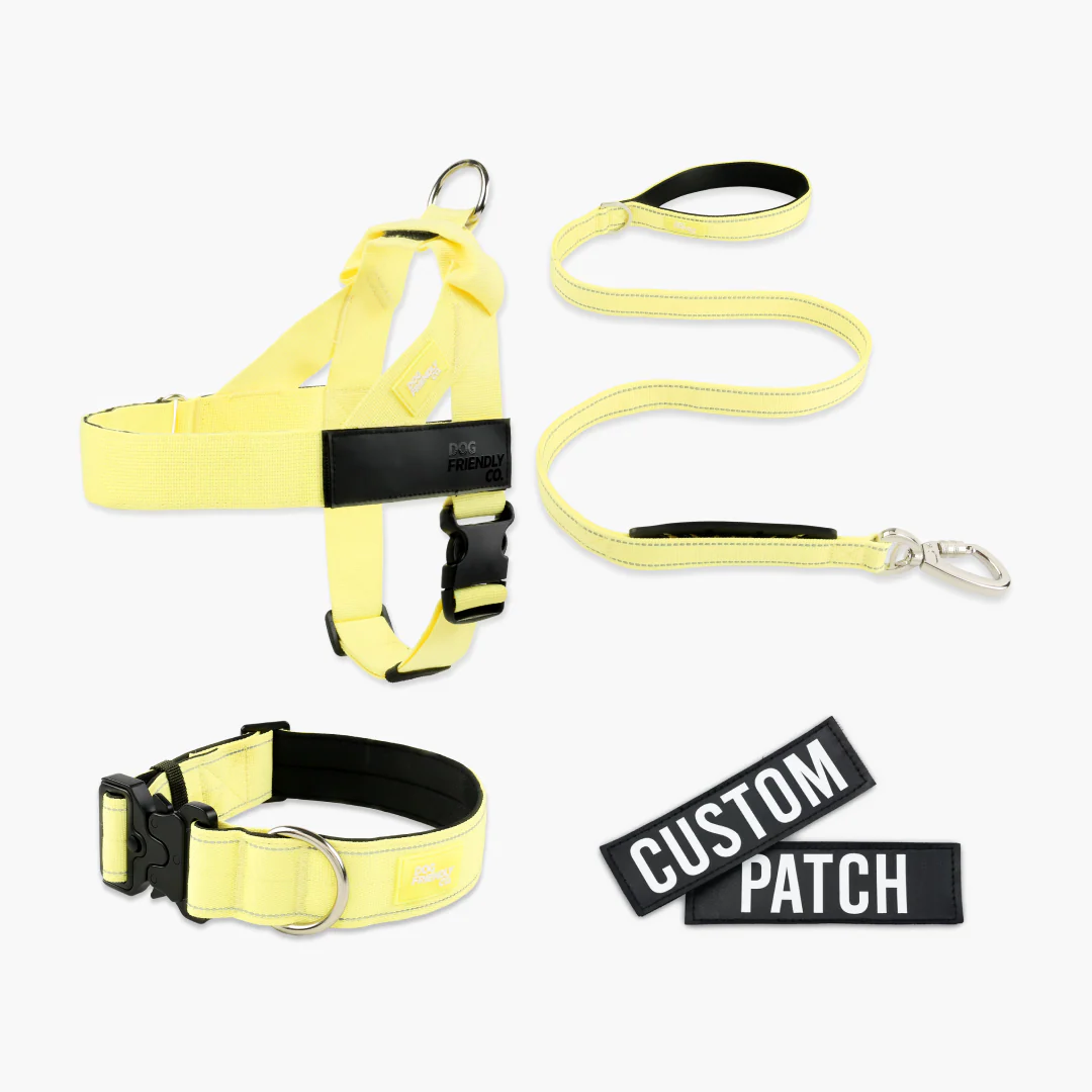 Dog Lovers Pack - Yellow - Image 9