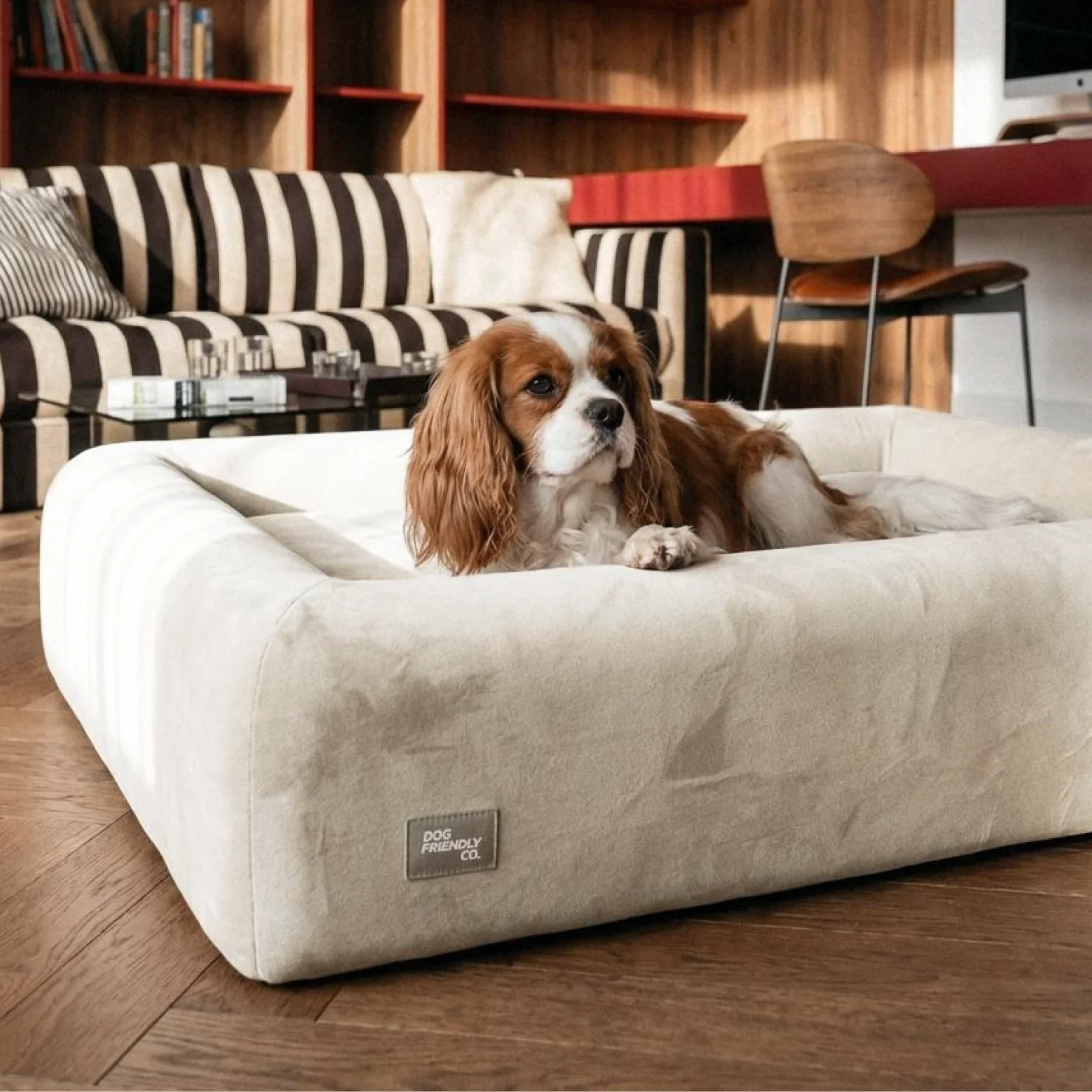 Premium Orthopedic Memory Foam Dog Bed - Beige (Medium) - Image 6