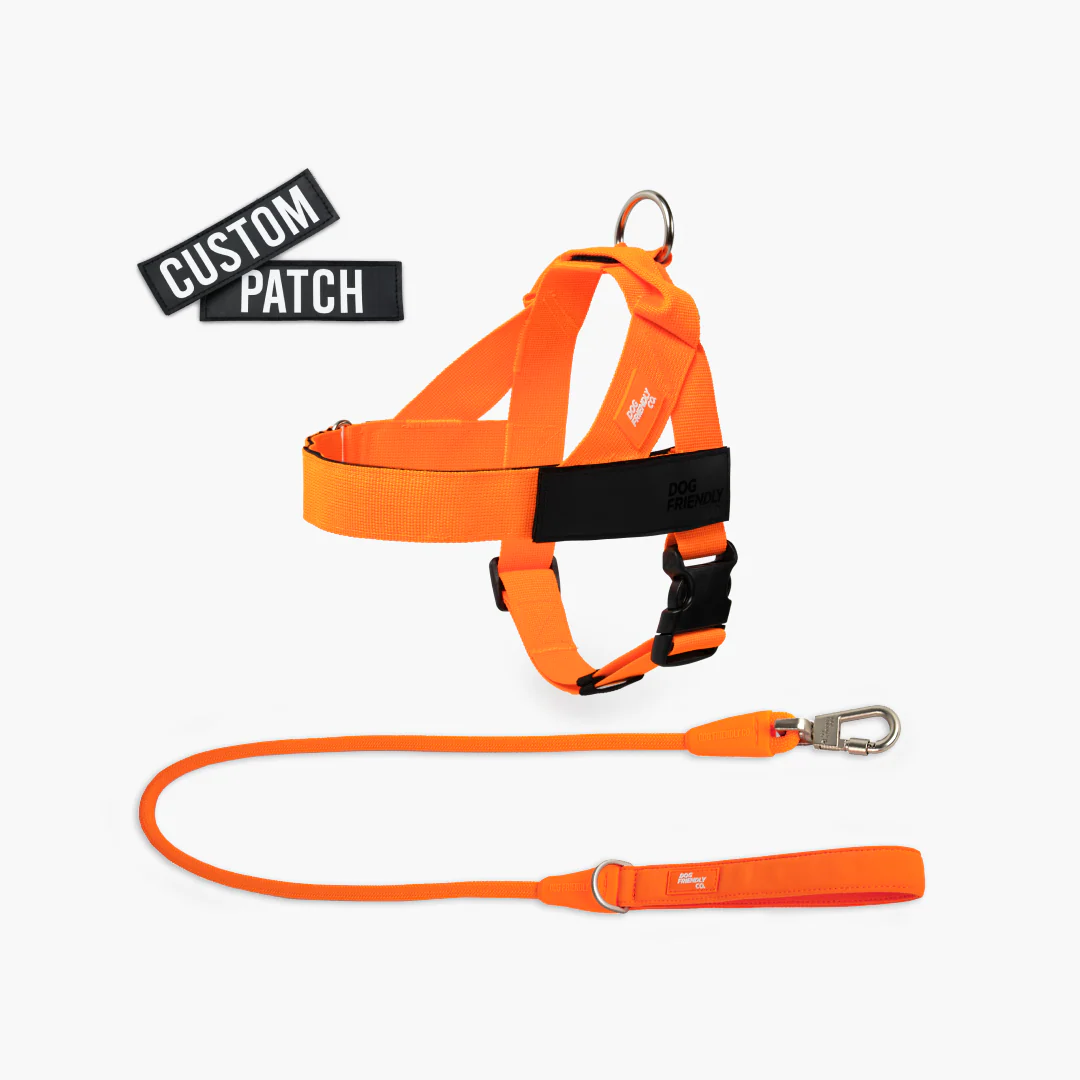 Signature Kit - Orange - Image 13