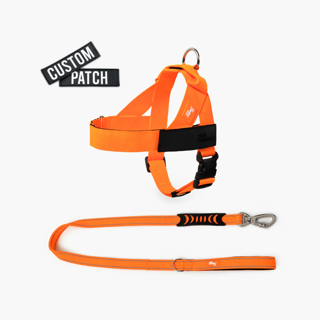 Signature Kit - Orange - Image 7