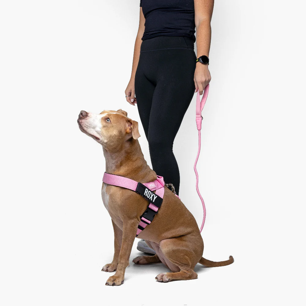 Signature Kit - Pink - Image 14