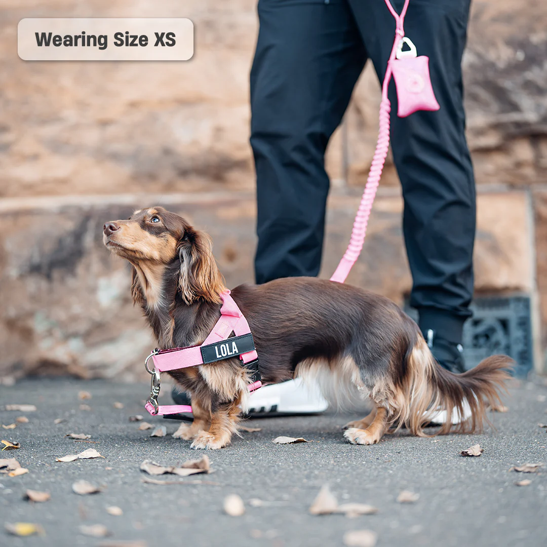 Signature Kit - Pink - Image 5
