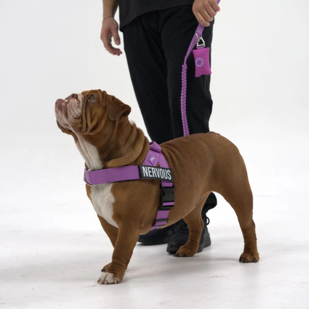 Signature Kit - Purple - Image 12