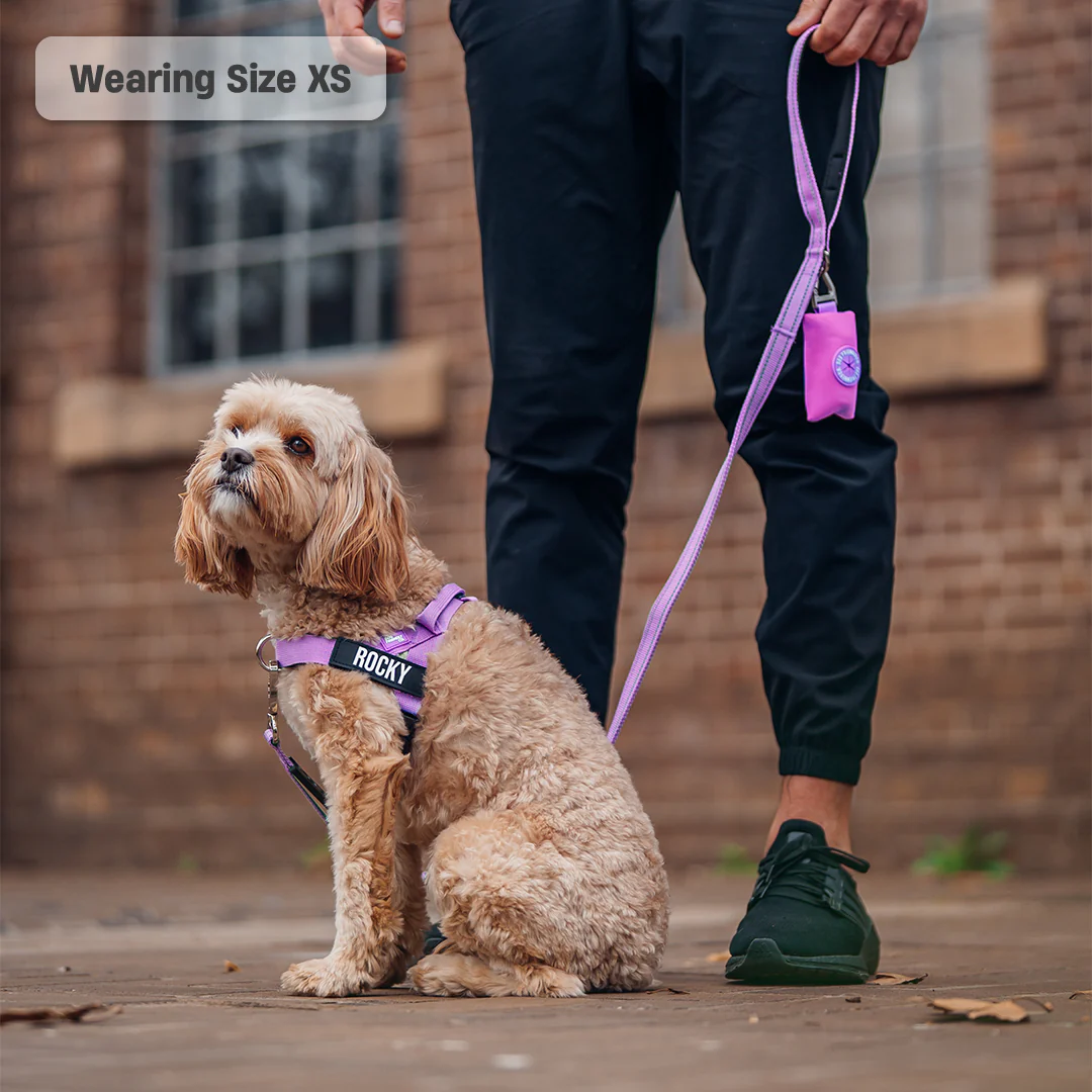 Signature Kit - Purple - Image 7