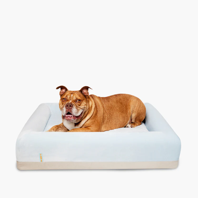Sleep Set - Sky Blue - Image 15
