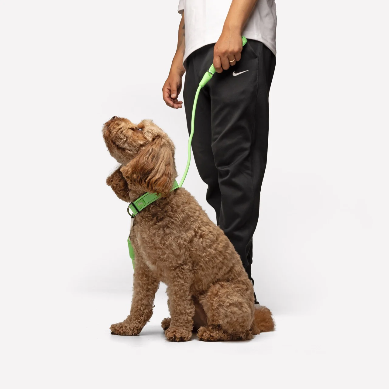 Tactical Dog Collar - Neon Green - Image 4