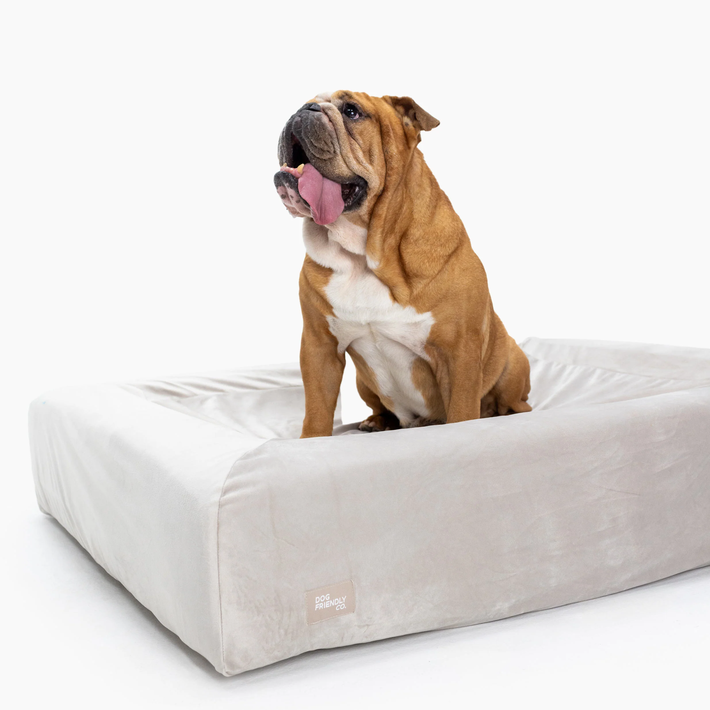 Velvet Easy Fit Dog Bed Cover - Image 5