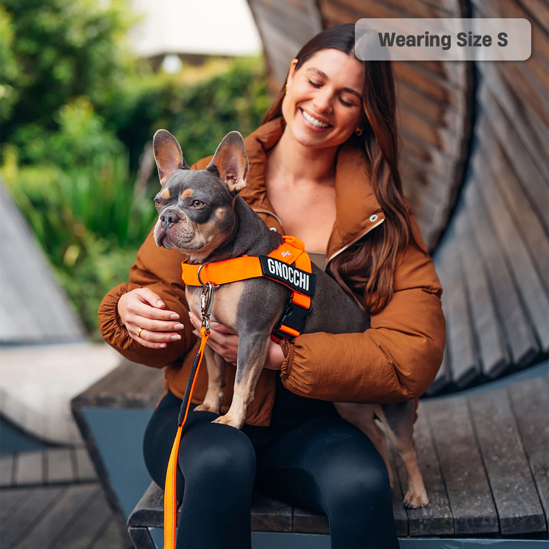 Ultimate No-Pull Bundle - Hi-Vis Orange - Image 4