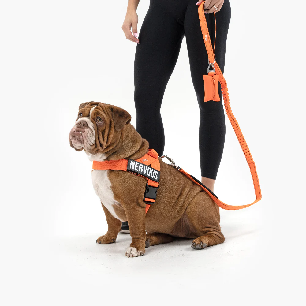 Ultimate No-Pull Bundle - Hi-Vis Orange - Image 8