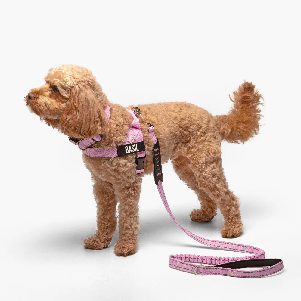 Ultimate No-Pull Bundle - Pink - Image 8