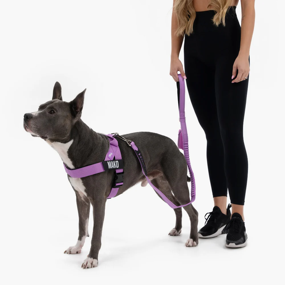 Ultimate No-Pull Bundle - Purple - Image 14