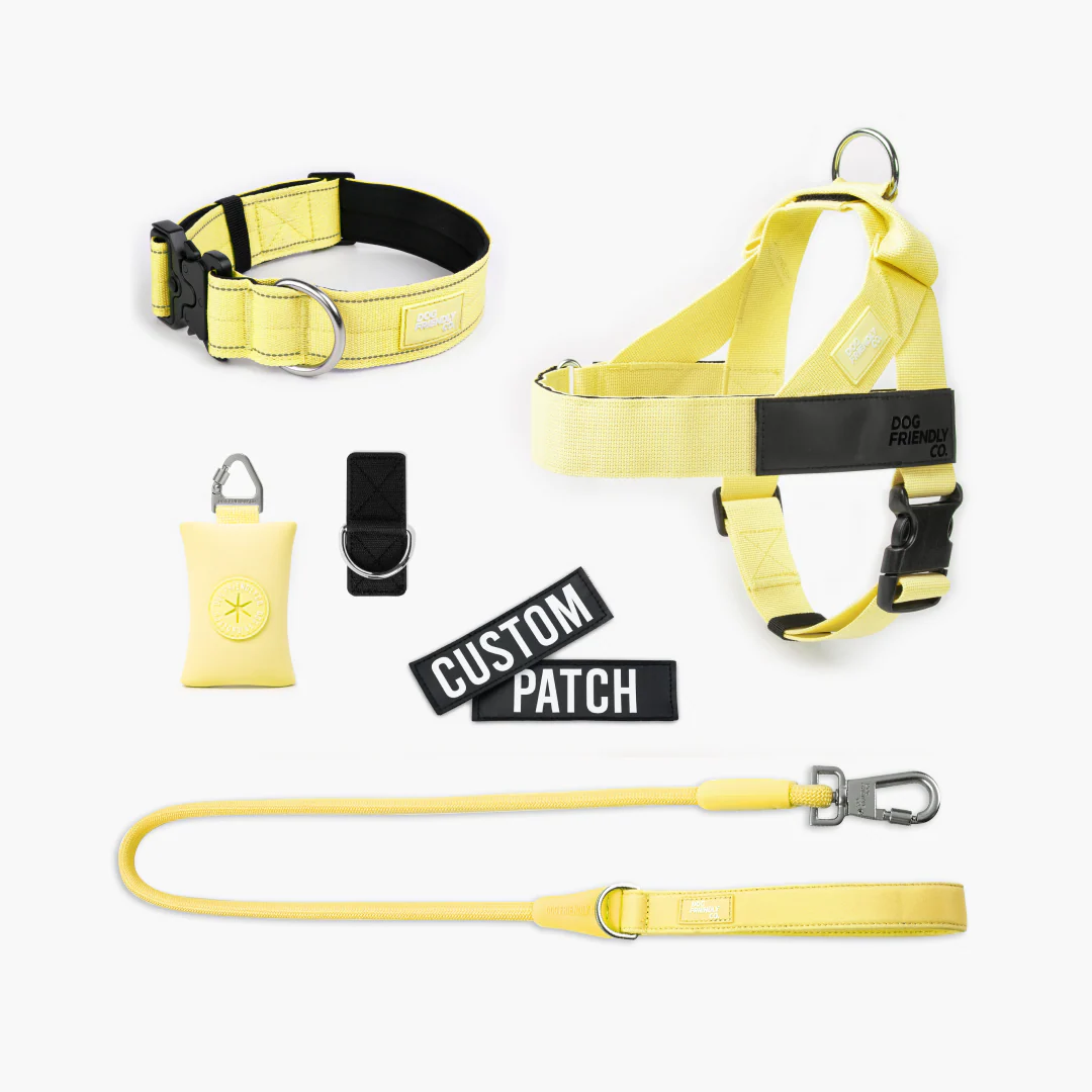 Ultimate No-Pull Bundle - Yellow - Image 13