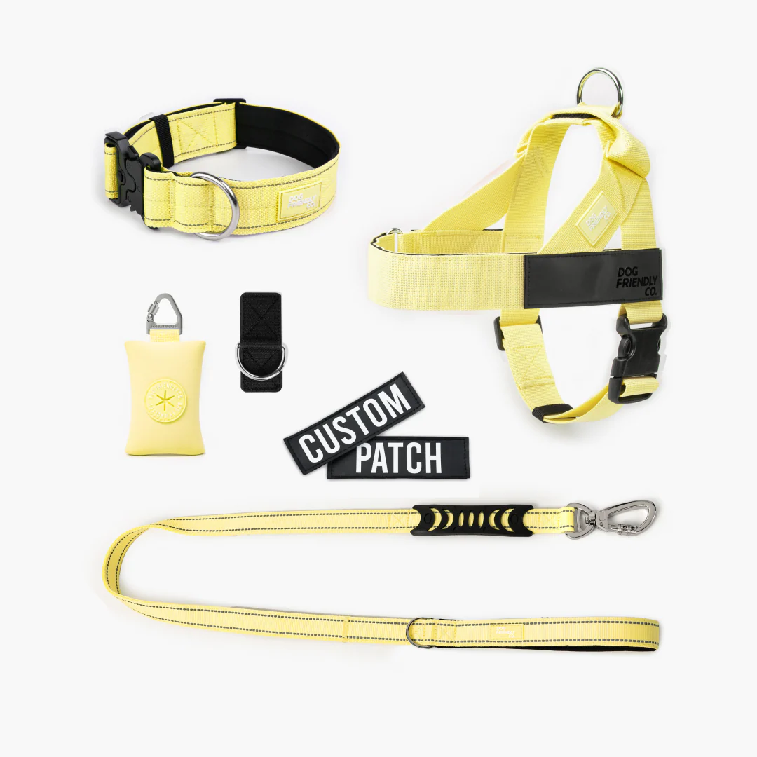 Ultimate No-Pull Bundle - Yellow - Image 7