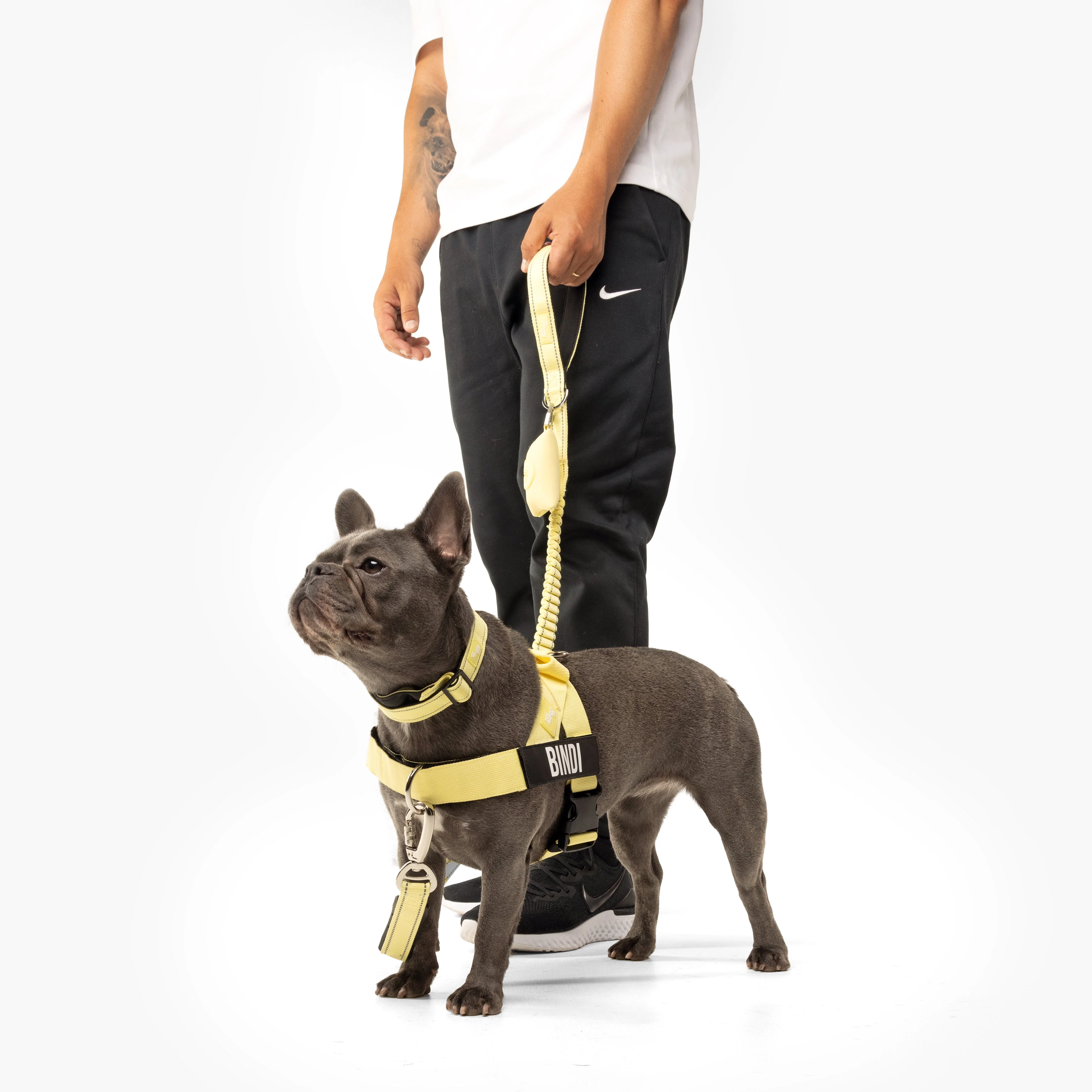 Ultimate No-Pull Bundle - Yellow - Image 8